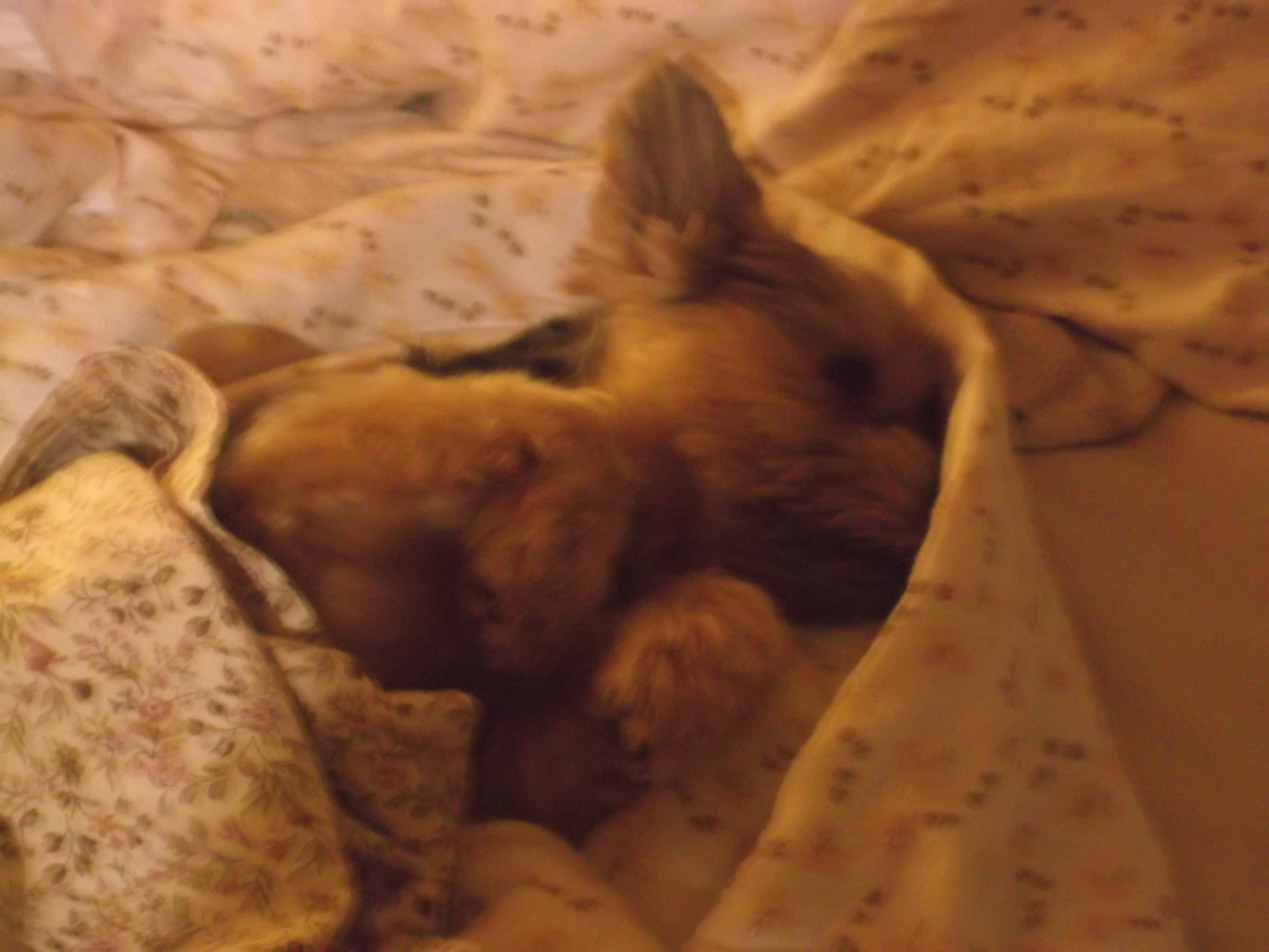 So sehen unsere zufrieden Tierkunden aus ! So sehen unsere zufrieden Tierkunden aus !
